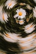 Fine Art Print | Frühlingsschrei X