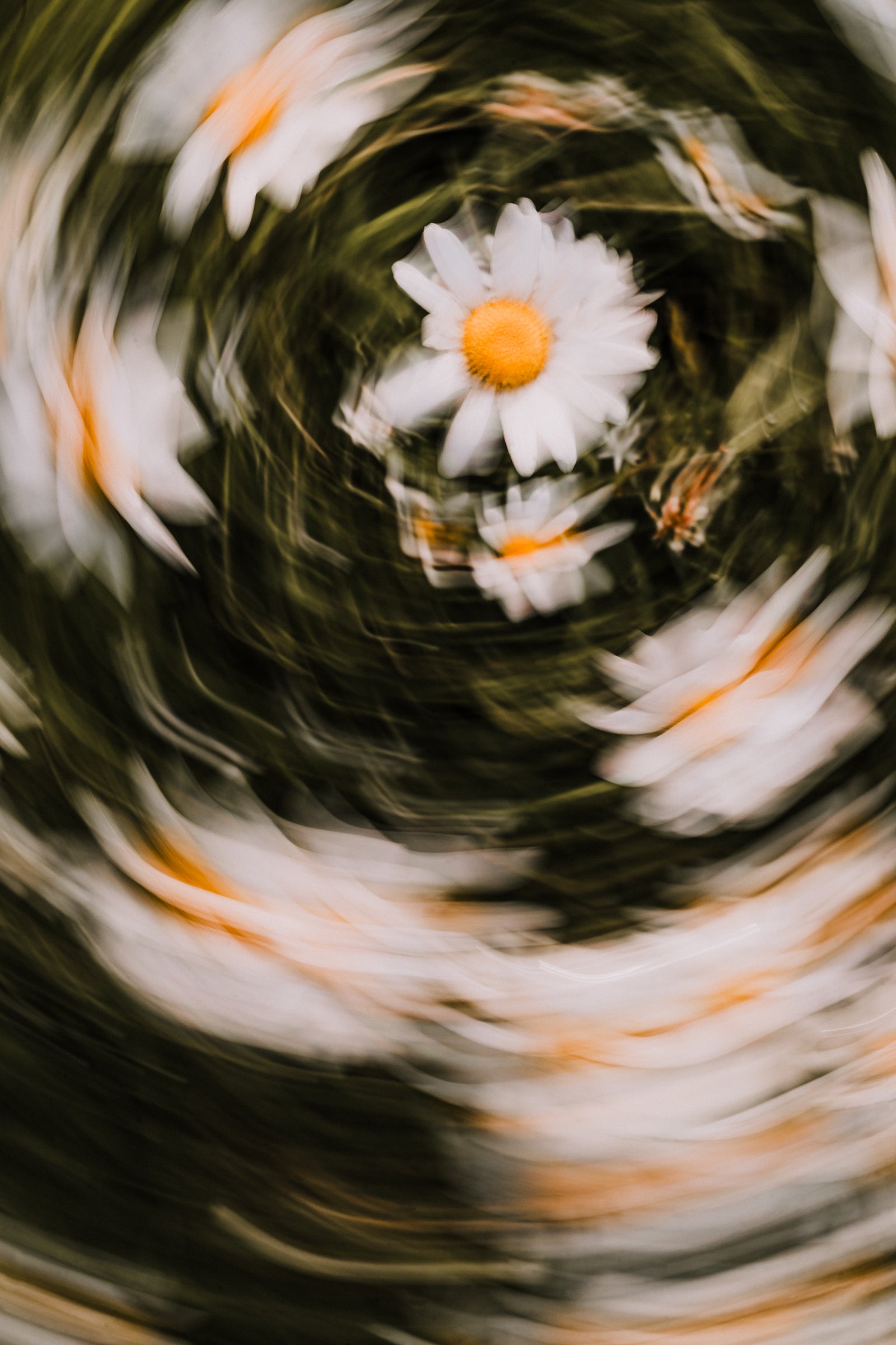Fine Art Print | Frühlingsschrei X
