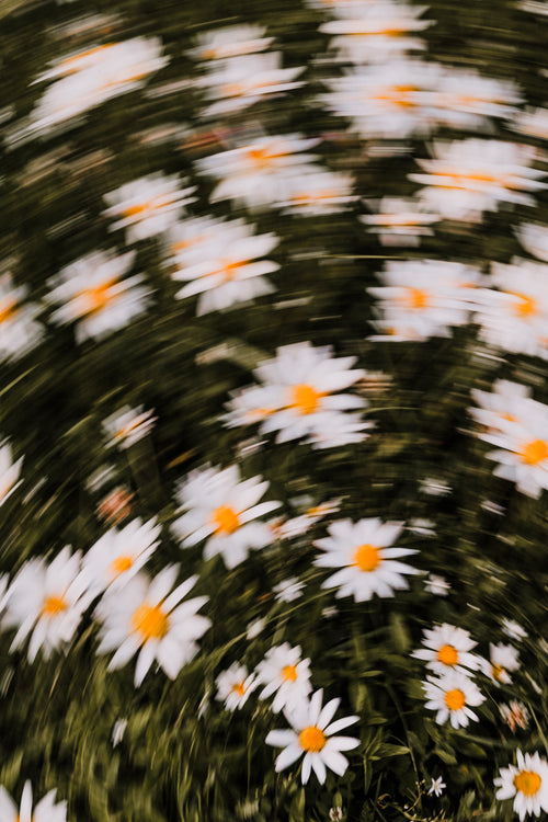Fine Art Print Set | Frühlingsschrei II and IX